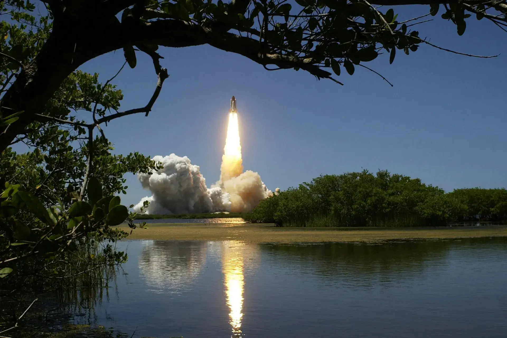 Il lancio di uno Space Shuttle visto oltre le mangrovie di una laguna, con la scia riflessa nell'acqua