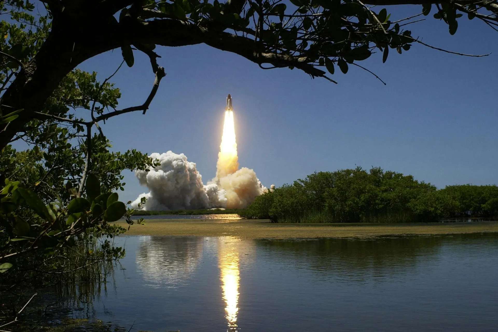 Il lancio di uno Space Shuttle visto oltre le mangrovie di una laguna, con la scia riflessa nell'acqua